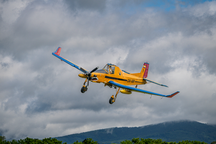 čmelák