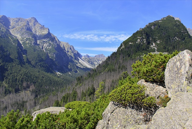 pohľad do Malej Studenej doliny smerom na Skalnaté pleso