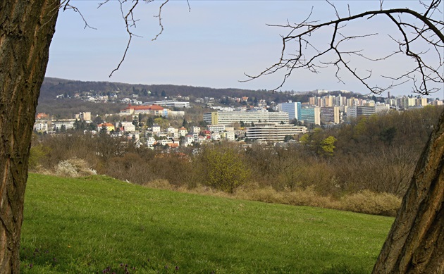 ZOO Bratislava - v zajatí stromov