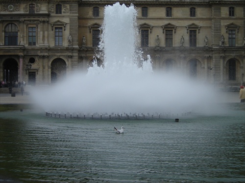 Louvre a čajky