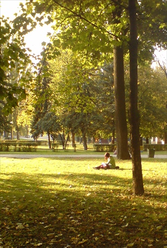 Posledné lúče jesenného slnka