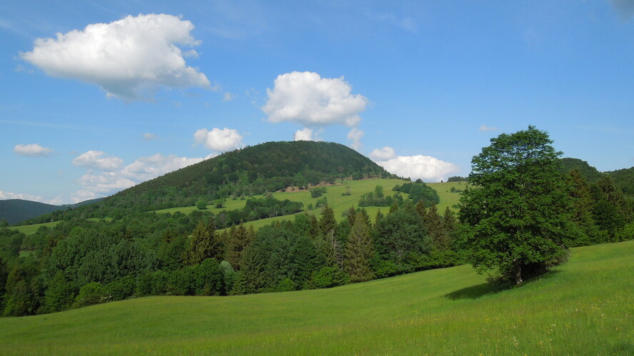 Lesy a lúky