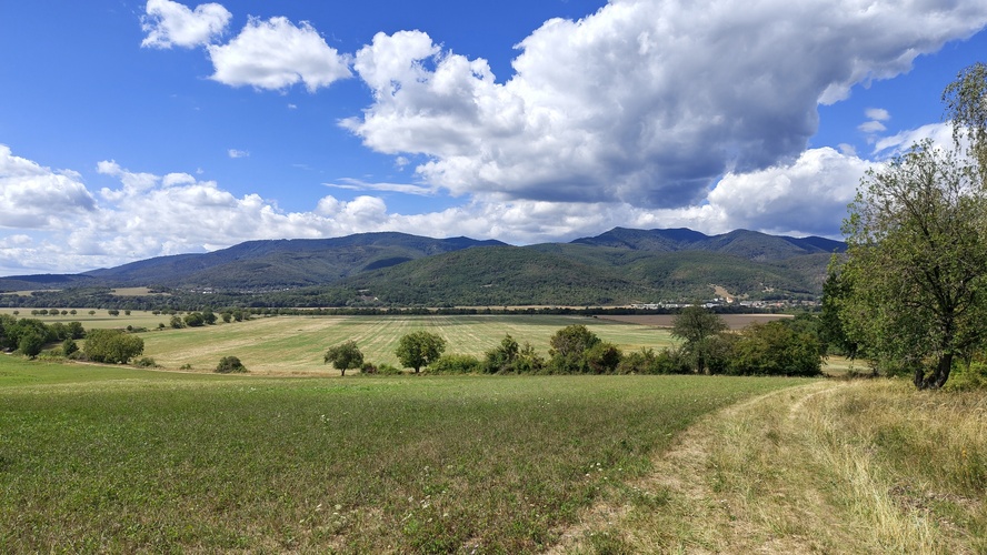 Vrcholné leto