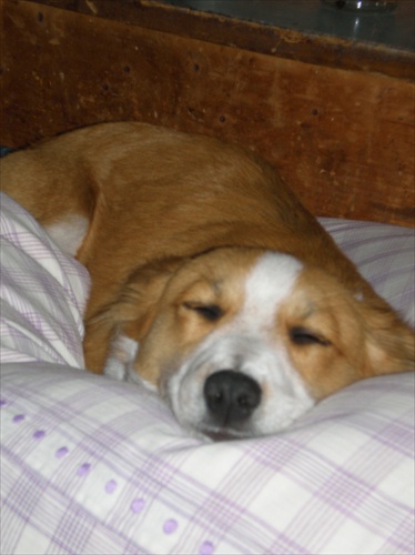 tu sa nádherne spinká