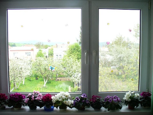 jar pred, aj za oknom