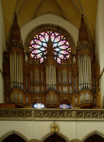 Organ - Bardejov