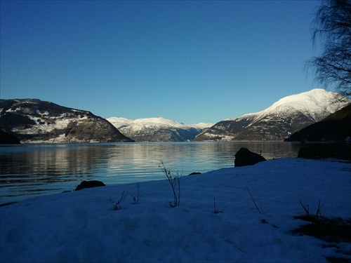 Norske Fjordy