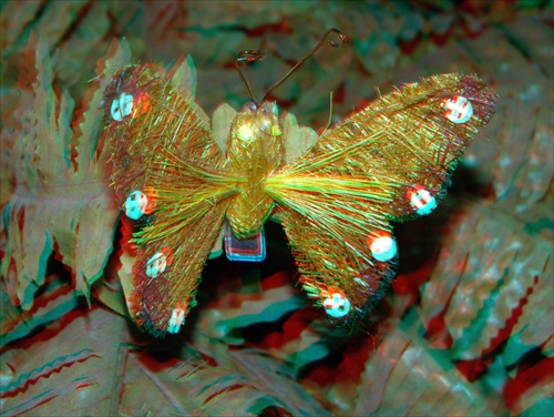 motýľ 3D