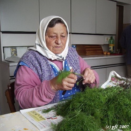 vždy musí niečo robiť