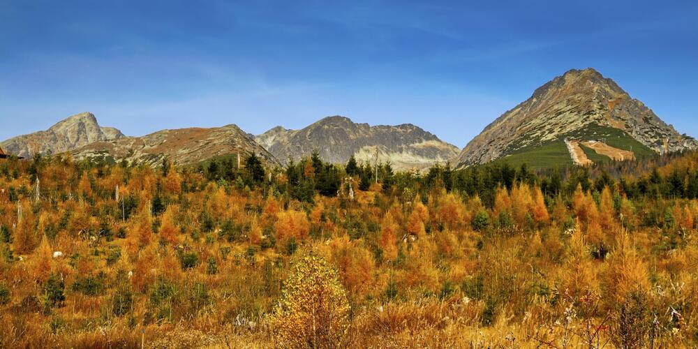 10 rokov po víchrici