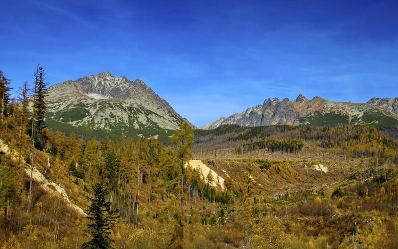 10 rokov po víchrici