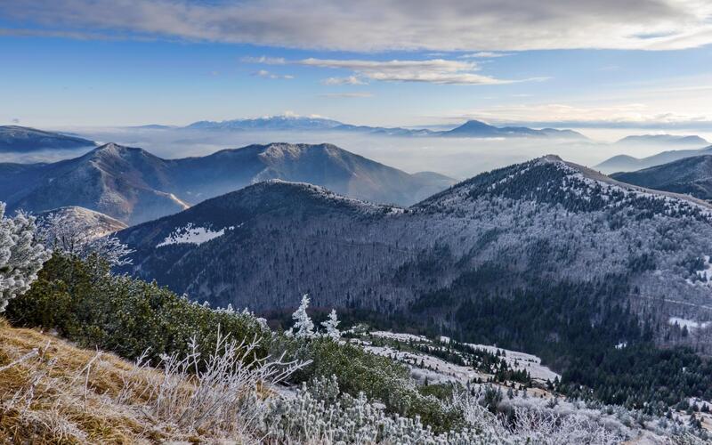 1.sviatok vianočný