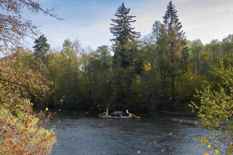 Orava