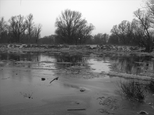 Ľady sa pohli [BW]