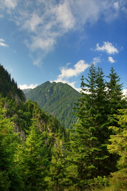 V Rumunských horách