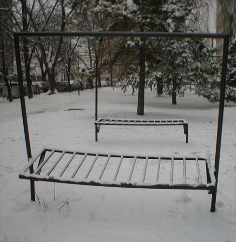 Stromy a sneh 2007