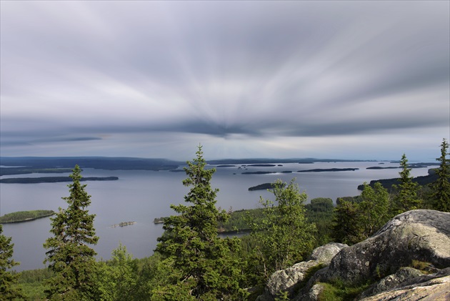 KOLI