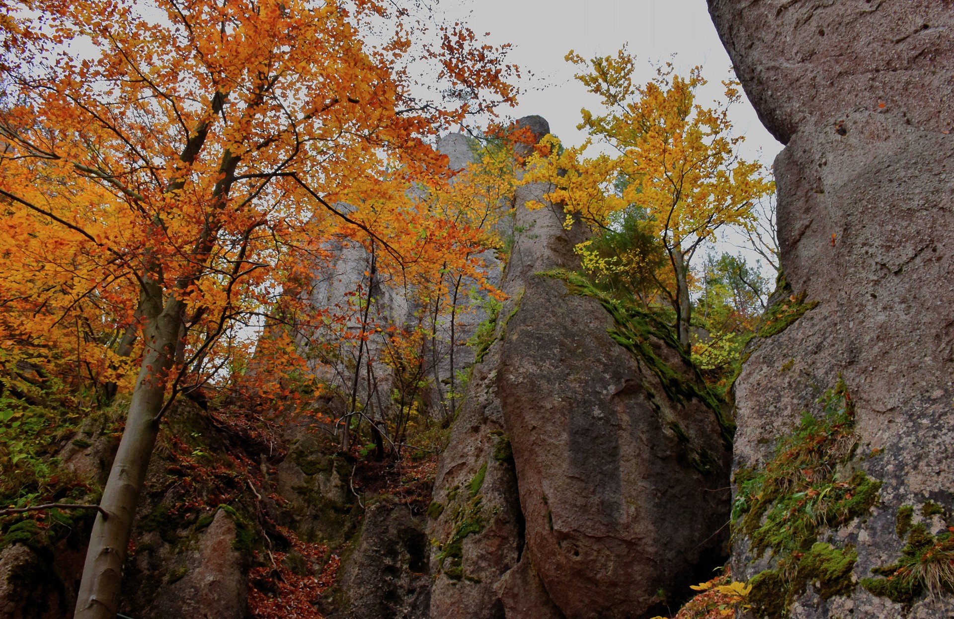 Jeseň v skalách