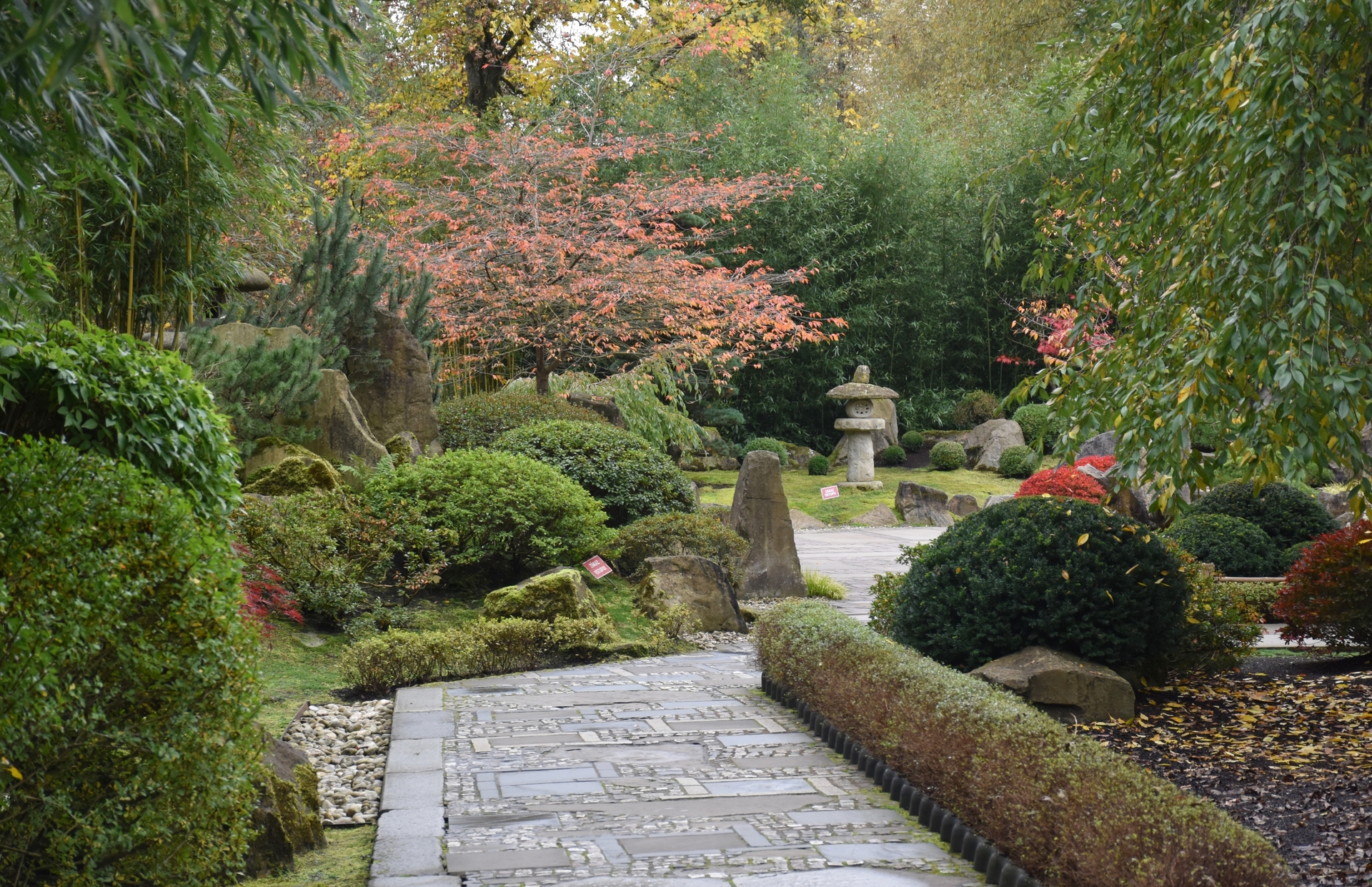Japonská záhrada Mu-Shin