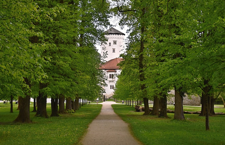 V Budatínskom parku