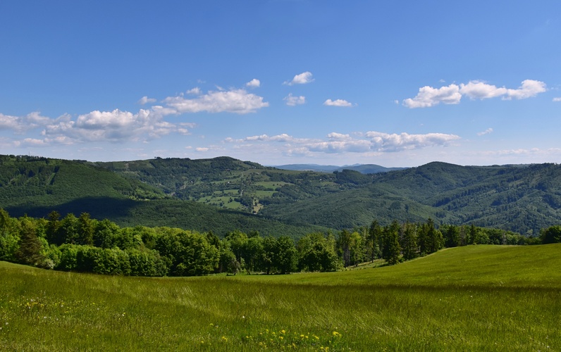 Bošácke kopanice
