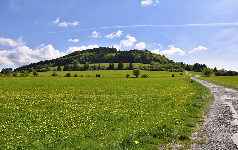 Vrch Straník (768,9 m n. m)