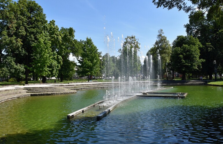 V parku
