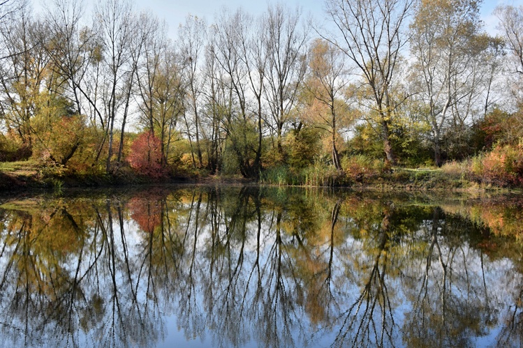 Jeseň pri rybníku