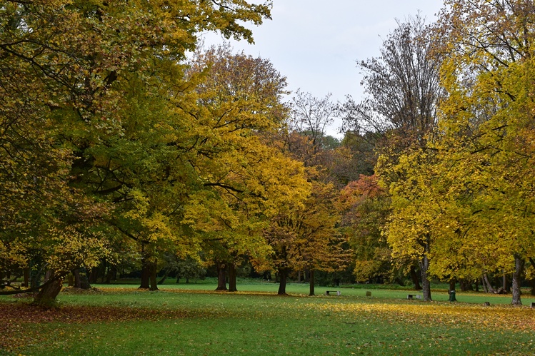 Jeseň v parku