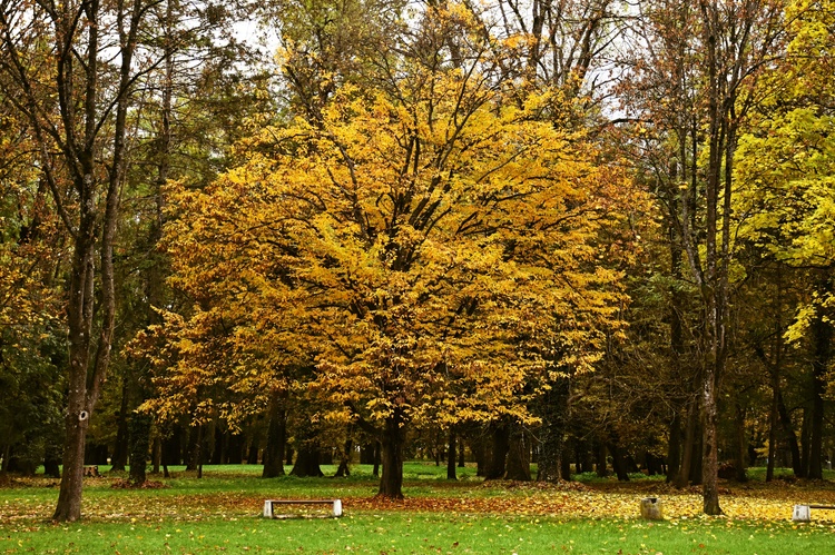 Jeseň v parku