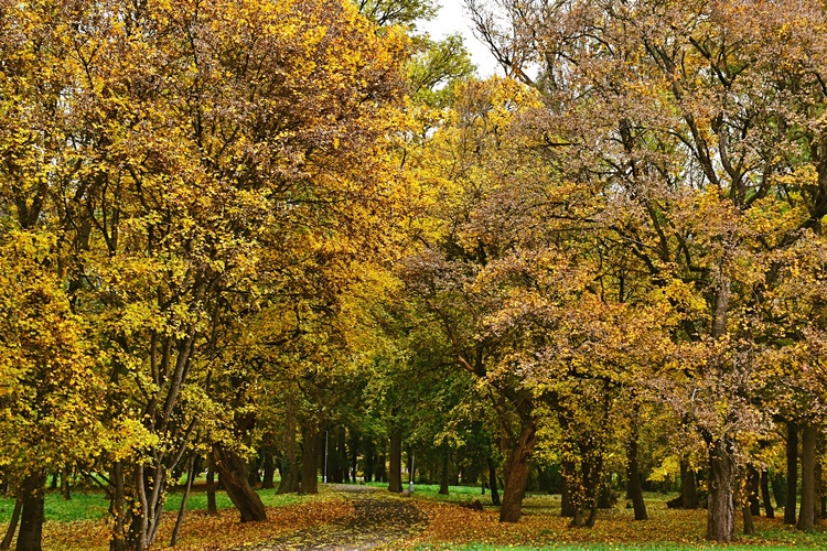 Jeseň v parku