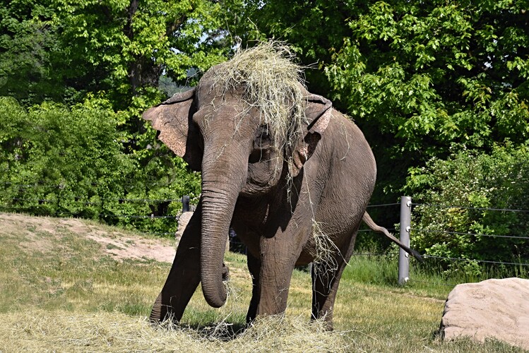 Účesy, účesy ach tie účesy