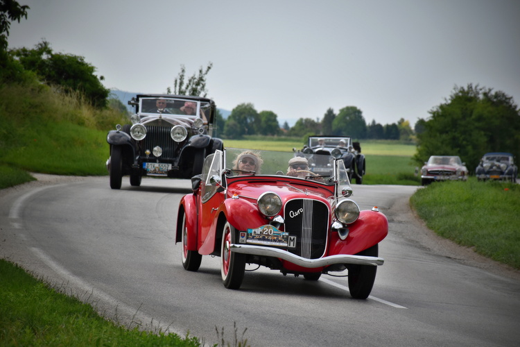 Concours d'Elegance