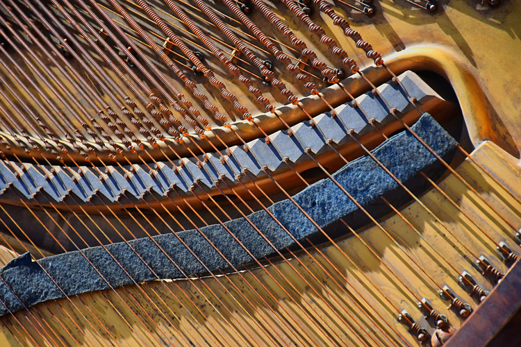 Detail