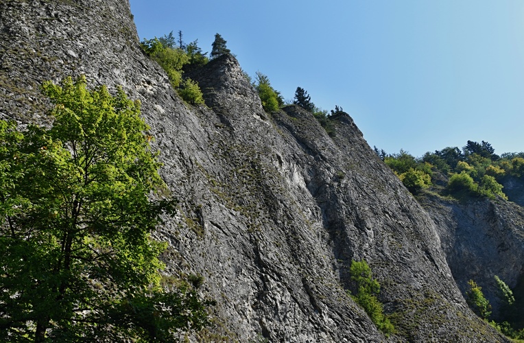 Pieninské bradlá