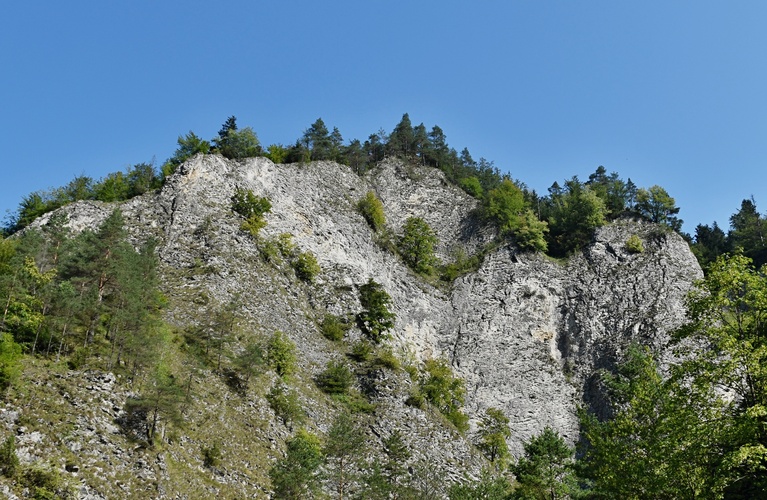 Pieninské bradlá