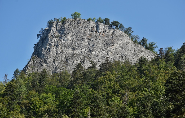Sokolica