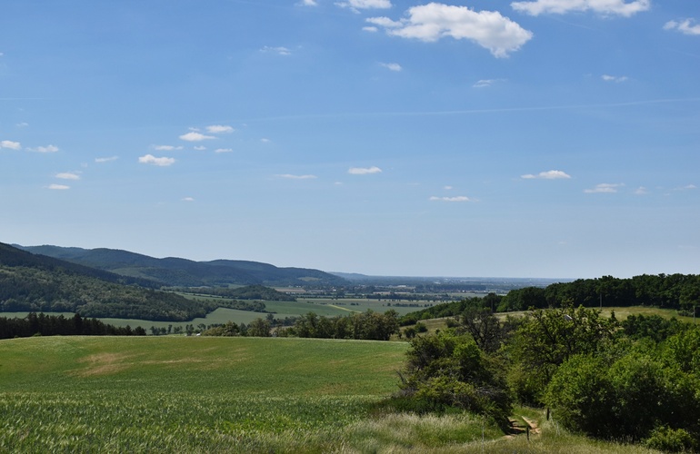 Výhľad