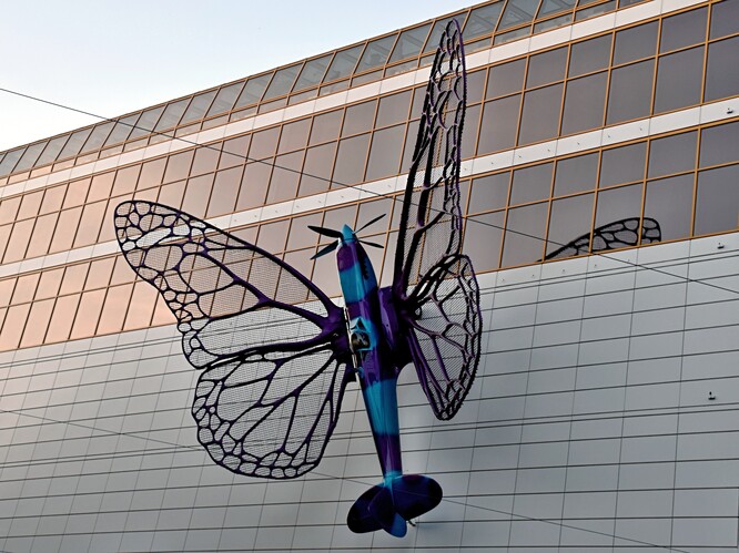 Butterfly Effect 