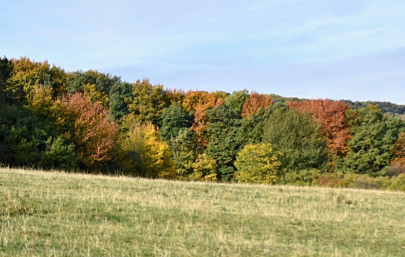 Jesenná stena