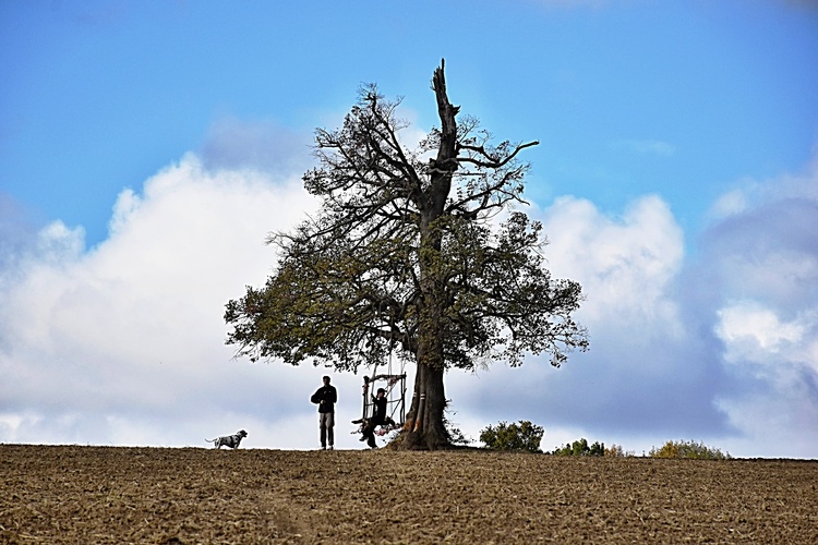 Hojdačka nad Trenčínom