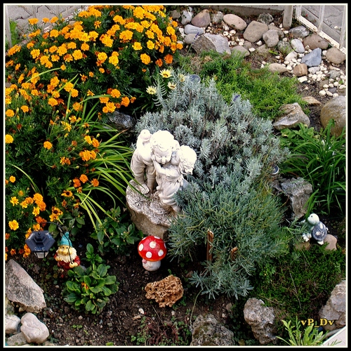 Rock garden  - pre zaľúbených