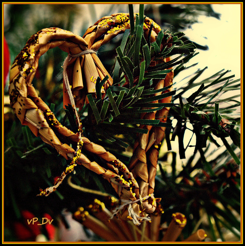 *** HEART  OF  LOVE***