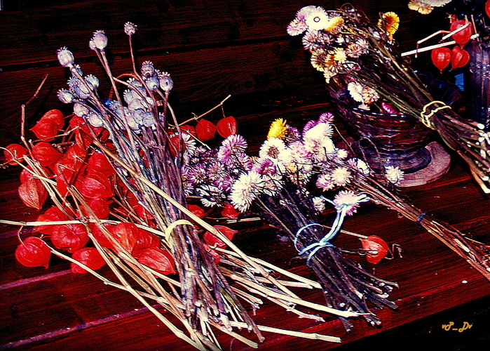 Slamienkovo-makovičková