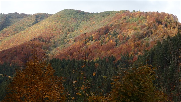 Jesenné hory