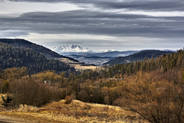 Tatry od Plejsov.