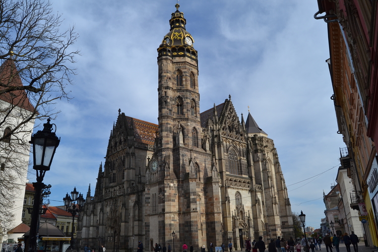 dom sv alzbeti