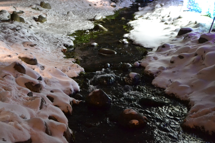 potôčik pri parku v Poľsku