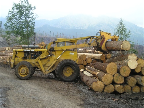 Ekologická ťažba dreva vo Vysokých Tatrách