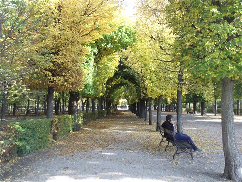 Jeseň v Schönbrunne